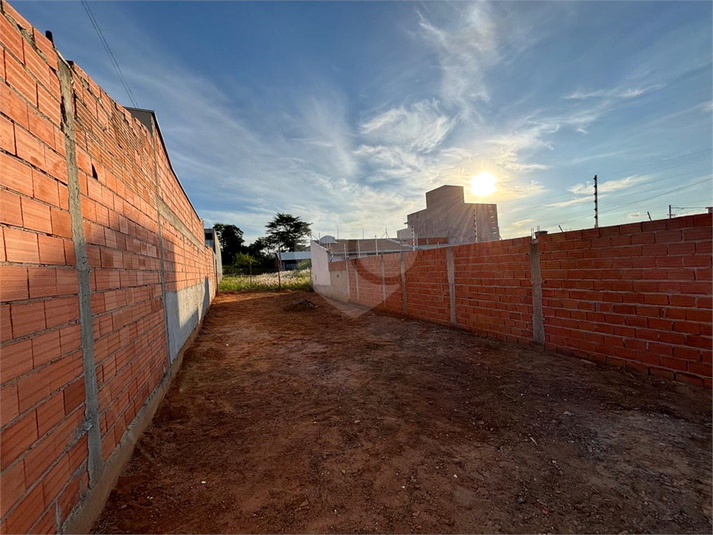 Foto REO1081354