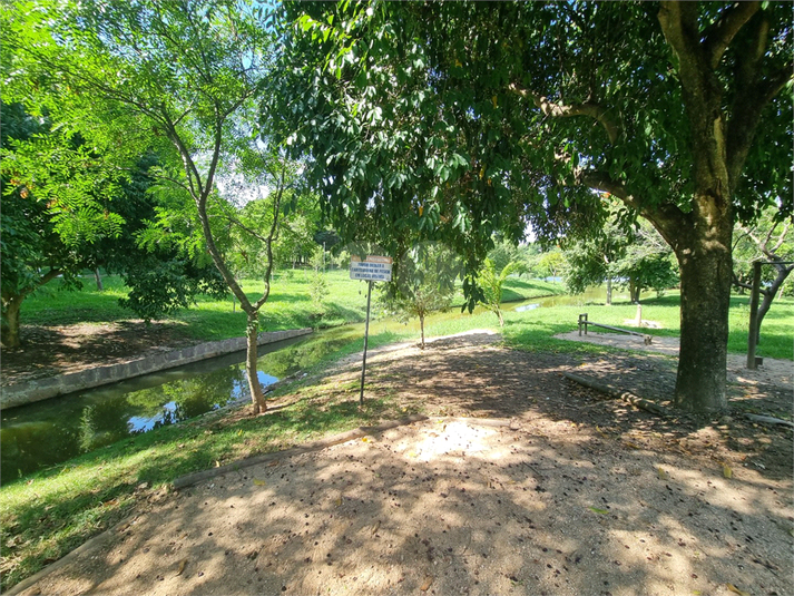 Foto REO1081359