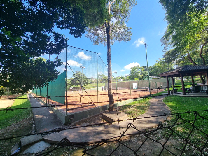 Foto REO1081359