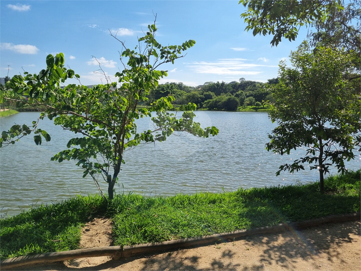 Foto REO1081359