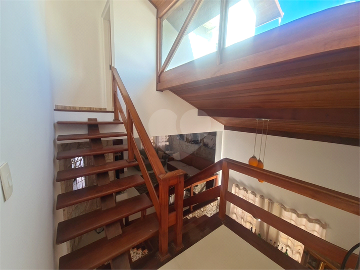 Foto REO1081359