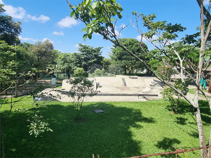 Foto REO1081359