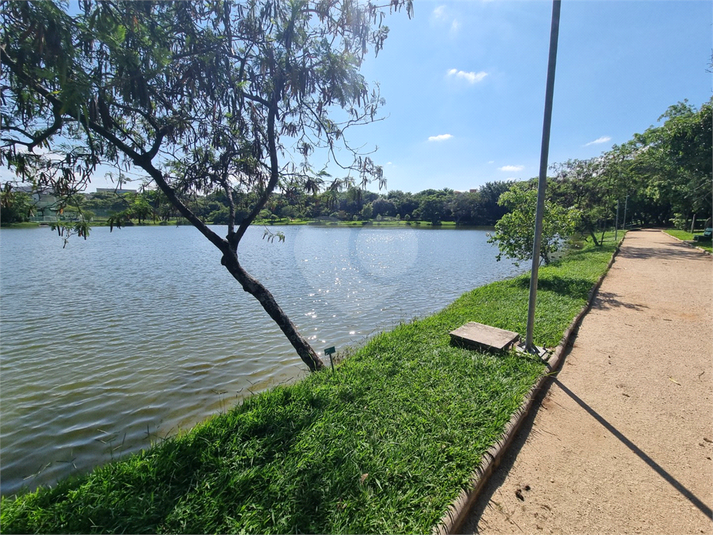 Foto REO1081359