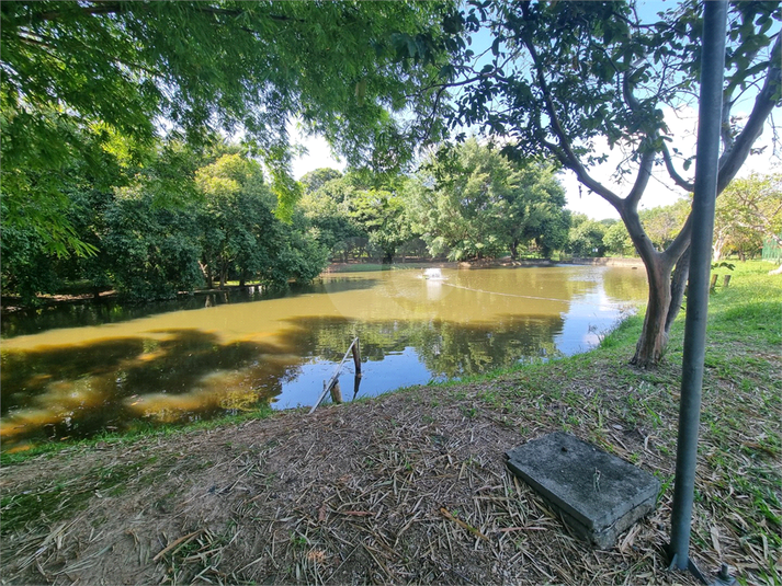 Foto REO1081359