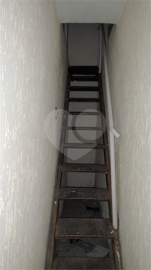 Foto REO1081365