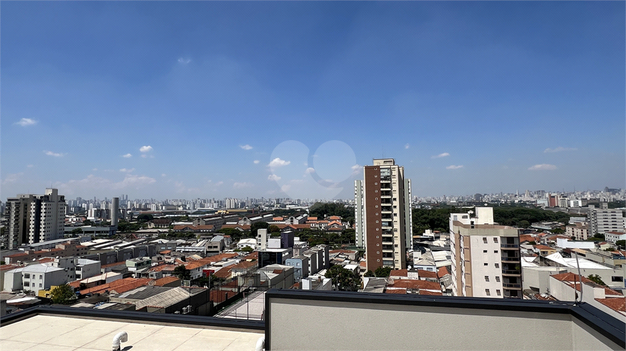 Foto REO1081368