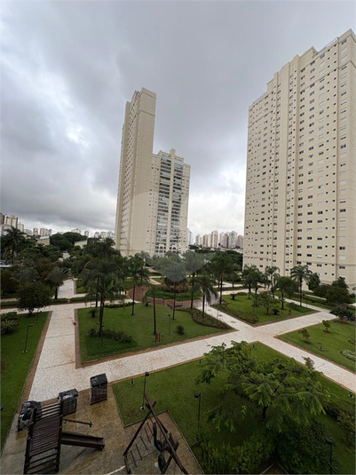 Foto REO1081420