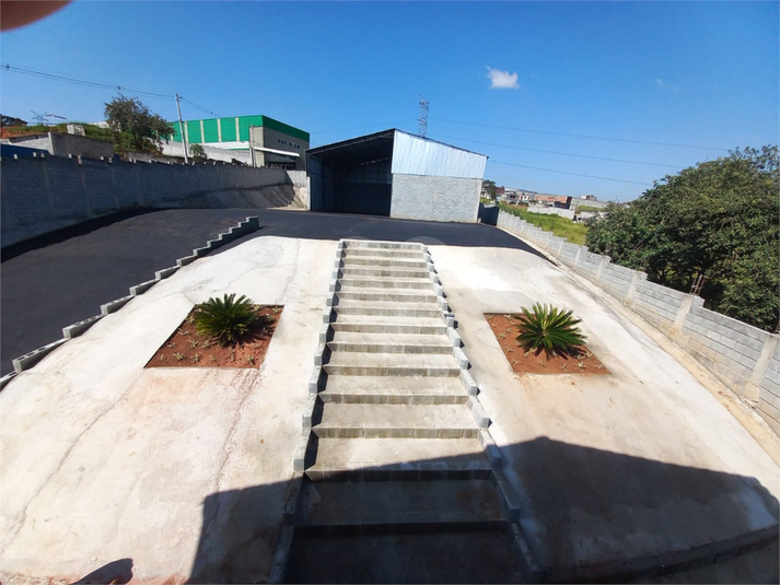 Foto REO1081441