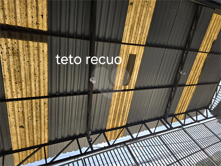 Foto REO1081442