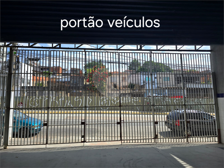 Foto REO1081442
