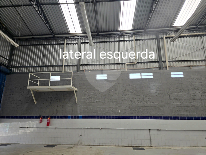 Foto REO1081442