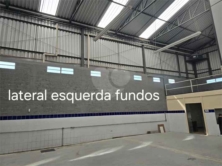 Foto REO1081442