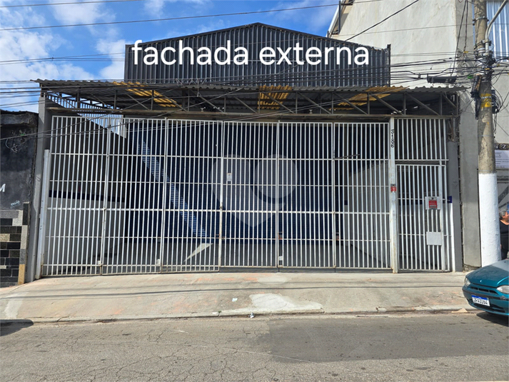 Foto REO1081442