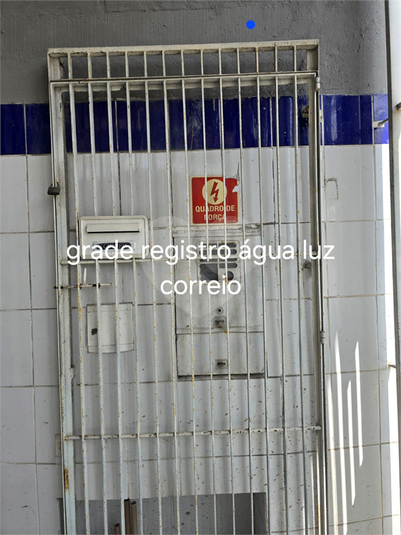 Foto REO1081442