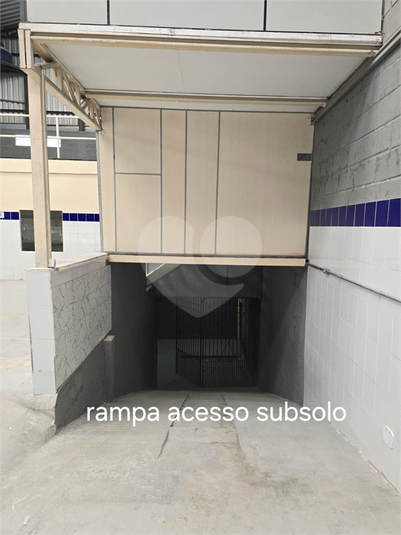 Foto REO1081442