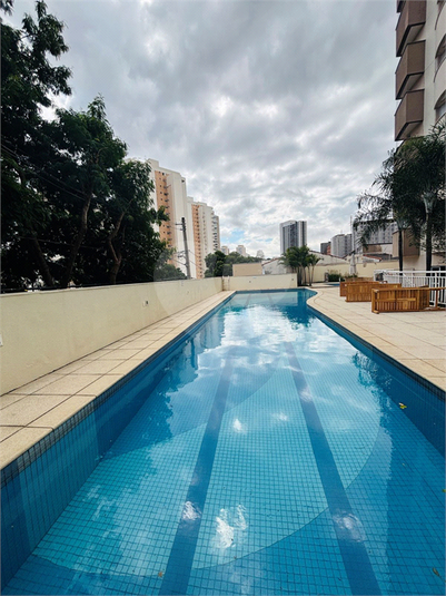 Foto REO1081452