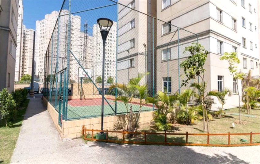 Foto REO1081461