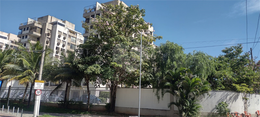 Foto REO1081463