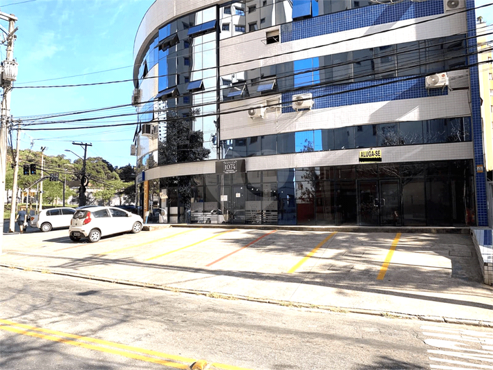 Foto REO1081467