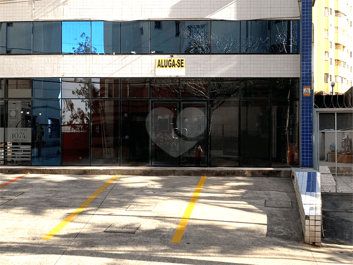 Foto REO1081467