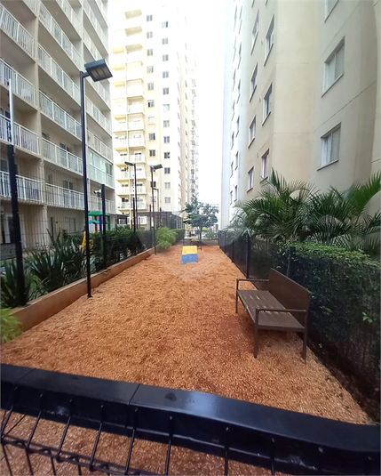 Foto REO1081475