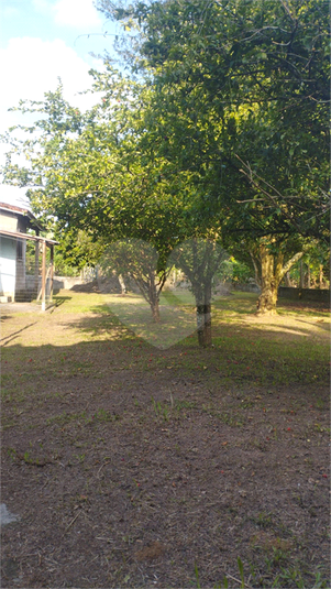 Foto REO1081482
