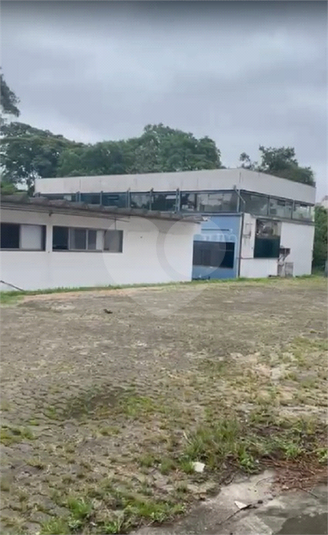 Foto REO1081499
