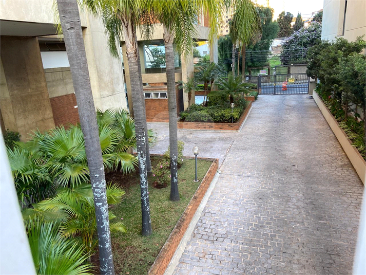 Foto REO1081509