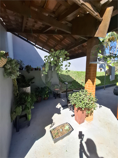 Foto REO1081557