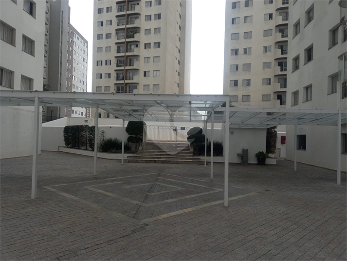 Foto REO1081566