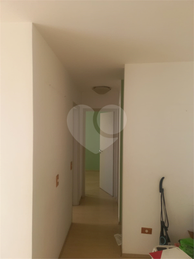 Foto REO1081566