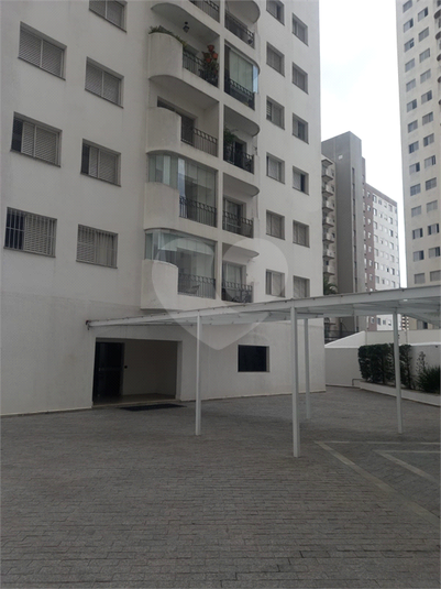 Foto REO1081566