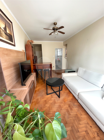 Foto REO1081571