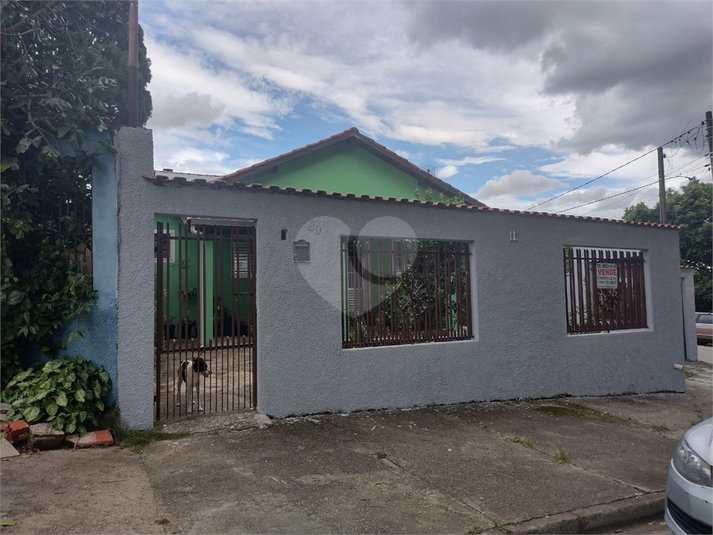 Foto REO1081590