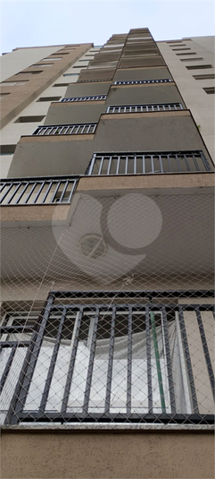 Foto REO1081614