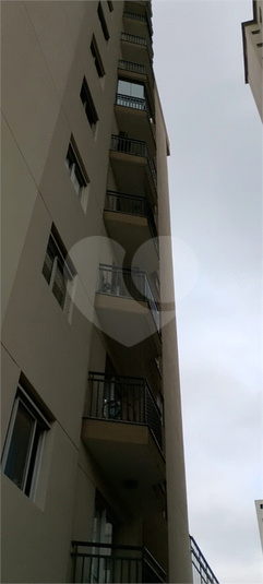 Foto REO1081614