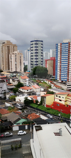 Foto REO1081614