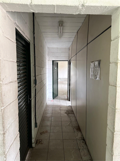 Foto REO1081628