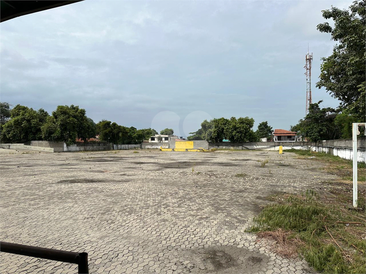 Foto REO1081628