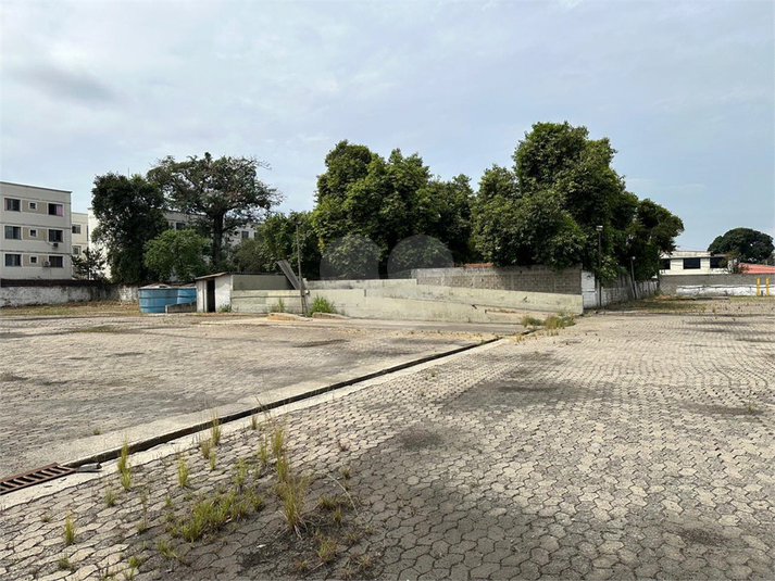 Foto REO1081628