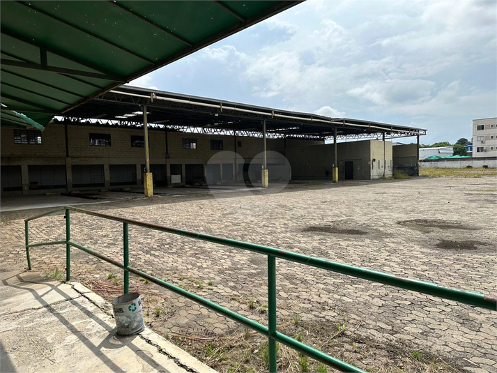 Foto REO1081628