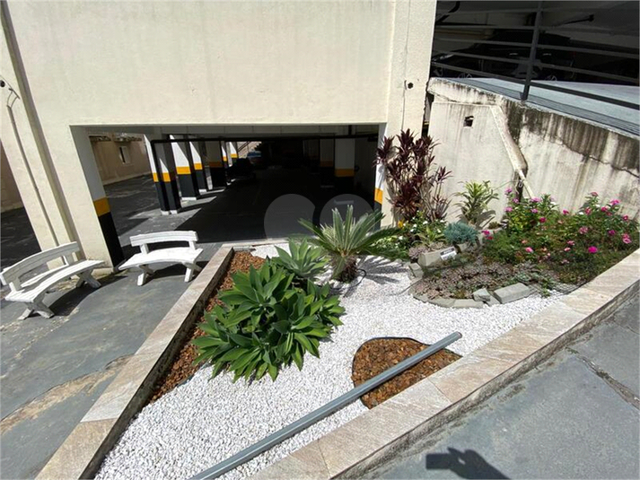 Foto REO1081629
