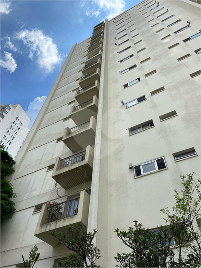 Foto REO1081637