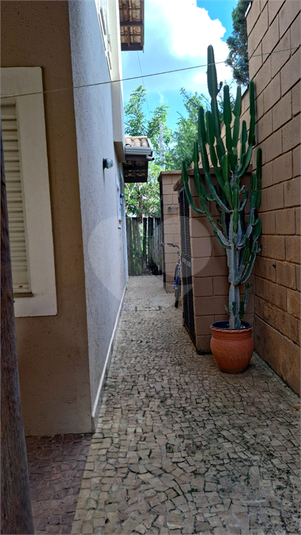 Foto REO1081643