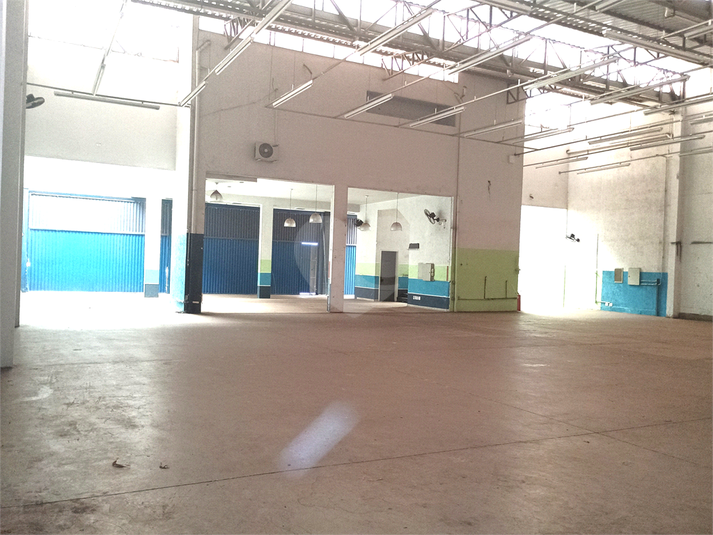 Foto REO1081644