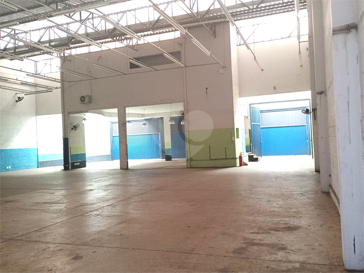 Foto REO1081644
