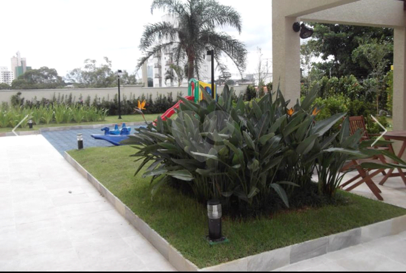 Foto REO1081654