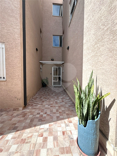 Foto REO1081673