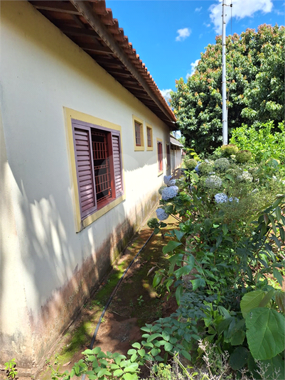 Foto REO1081682