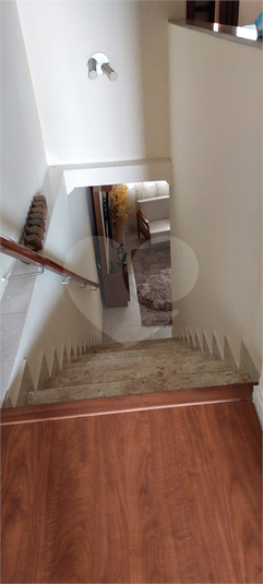 Foto REO1081688